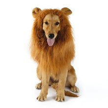 Load image into Gallery viewer, Fancy Dress Up Pet Costume Cat Halloween Clothes Dogs Lion Mane Wig With Ears Festival Dress Up