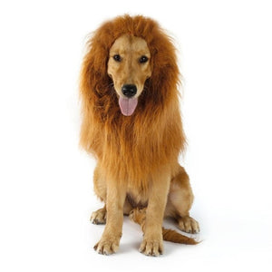 Fancy Dress Up Pet Costume Cat Halloween Clothes Dogs Lion Mane Wig With Ears Festival Dress Up