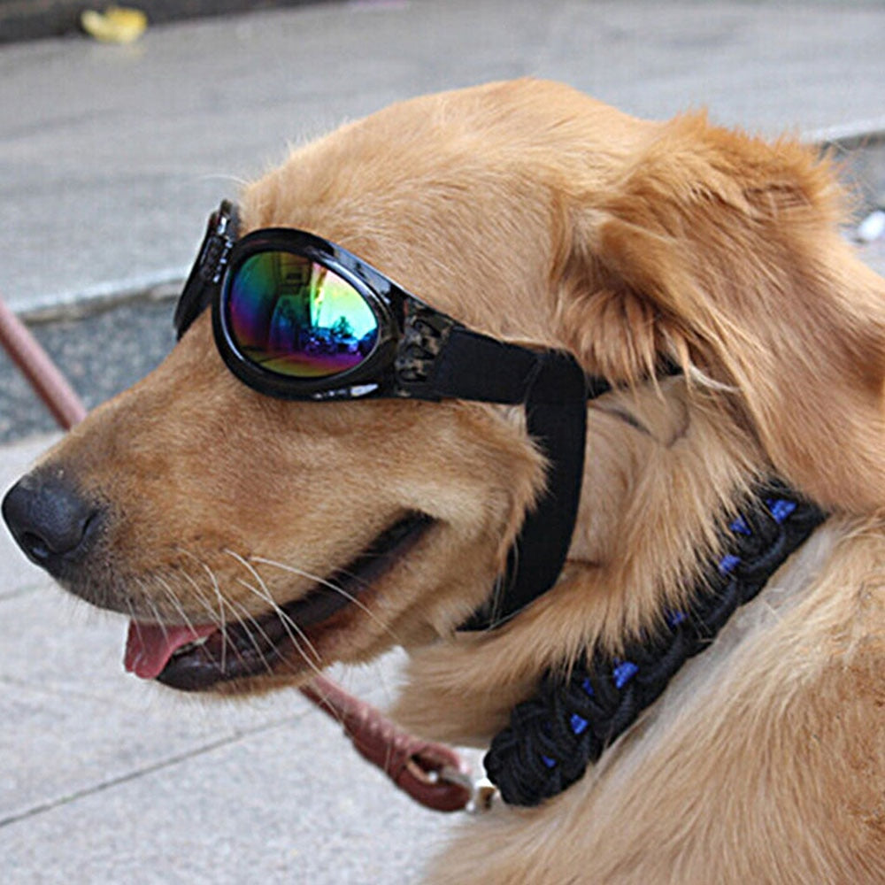 Pet Dog Adjustable UV Sunglasses Black Eye-wear Costume Foldable Sun-resistant Goggles Gromming Product Photos Props Accessories